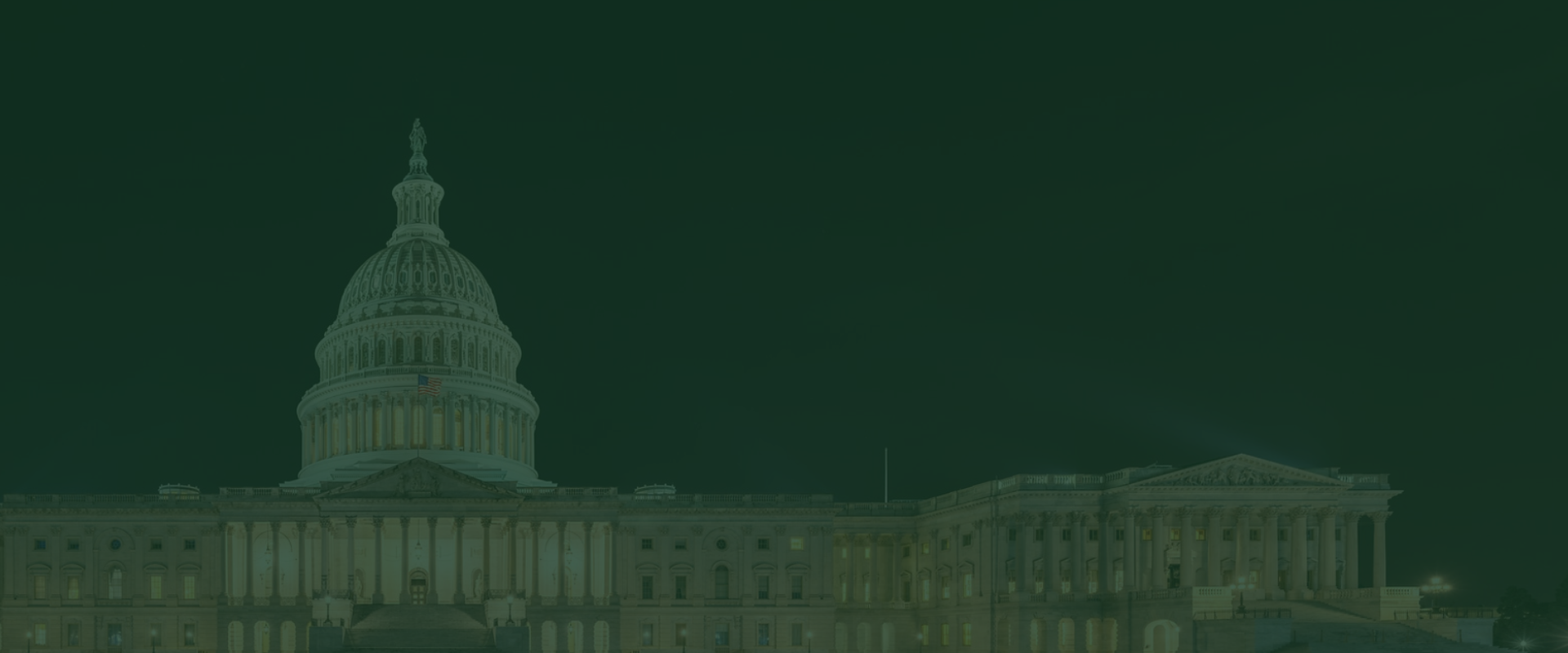 Capitol Banner